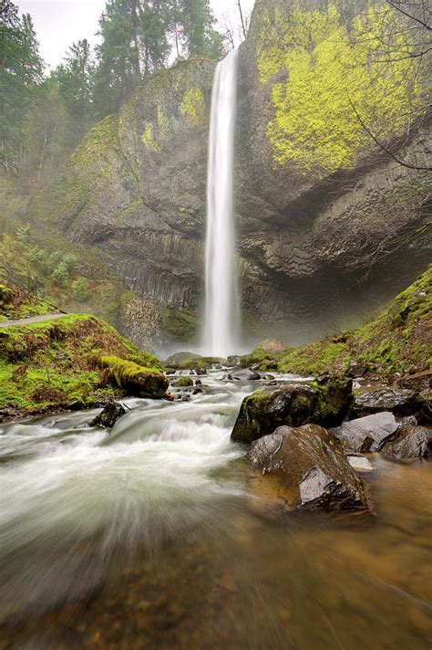 Latourell Falls Waterfall Columbia River Gorge Oregon Photograph By