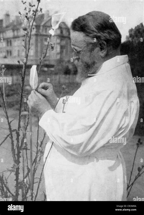 Carl Erich Correns Imágenes De Stock En Blanco Y Negro Alamy