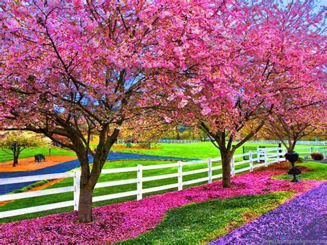 A Beautiful Spring Day Computer Wallpapers Desktop Backgrounds