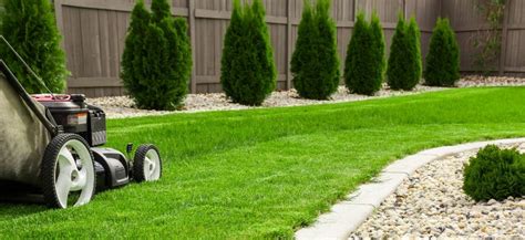 The Very Best Garden And Lawn Edging Ideas And Tips Backyard Boss