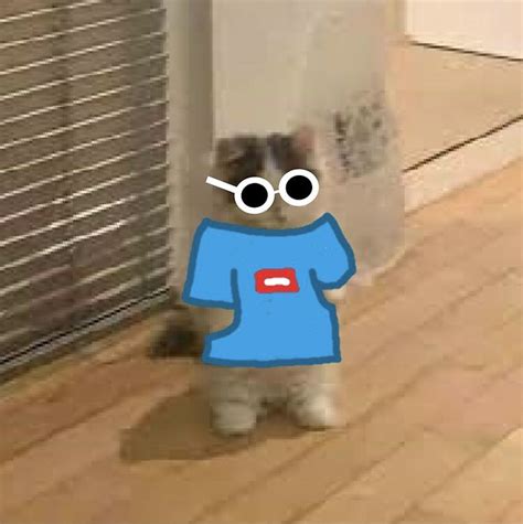 Georgenotfound Standing Cat In 2021 Pop Cat Cat Icon Cat Memes
