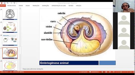 Aula 36 Anexos Embrionários Página 291 Apostila 2 Youtube