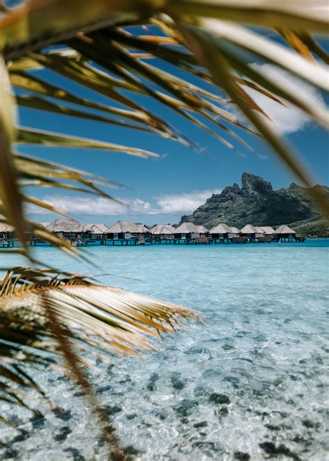 Four Seasons Bora Bora Resort A Honeymoon Dream Artofit