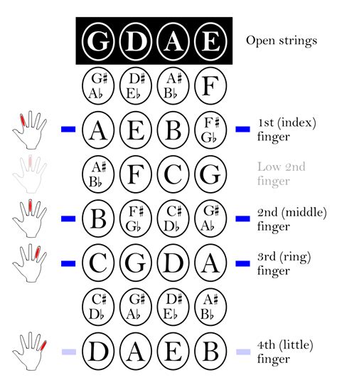 Violin Notes Finger Placement Scaledrawingwordproblems