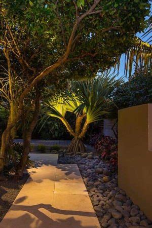 Big apple pest control, inc. Outdoor Lighting Design Pasco County FL | Installation ...