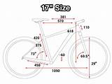 Bike Size Frame Height Pictures
