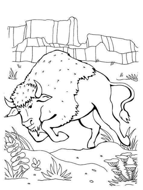 Angry Bison Coloring Page
