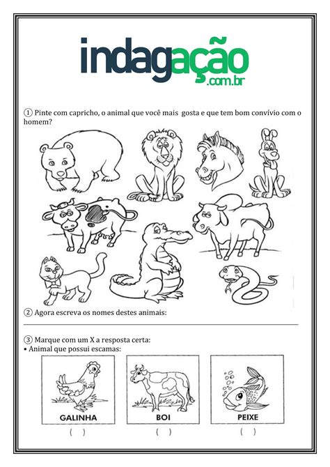 Avaliação De Ciencias 2 Ano Animais
