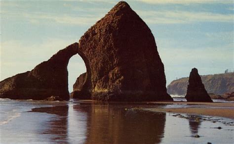 Three Arch Rocks Oregon Travel Oregon Beaches Oregon Coast