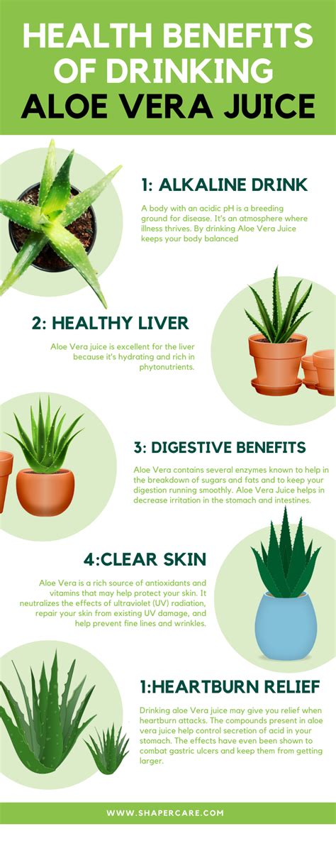 Drinking Aloe Vera Juice Benefits Weight Loss Health Benefits