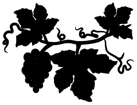 Mammal fox animal child forest life woodland grapes creature climbing collection primate furry nature wildlife. SVG > grapes fruits - Free SVG Image & Icon. | SVG Silh
