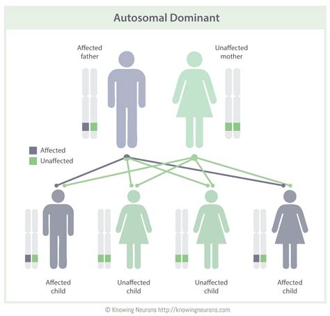 Autosomal Dominant Knowing Neurons