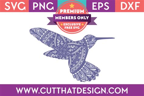 Hummingbird Mandala Zentangle Design Cut That Design