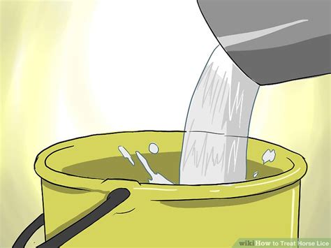 How To Treat Horse Lice 11 Steps With Pictures Wikihow