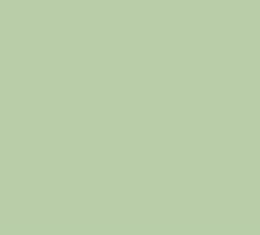 Color information #04d32e (or 0x04d32e) is unknown color: UltraColor Pastel Green Spray Paint