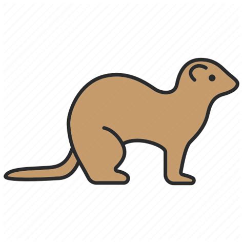 Weasels Png Images Transparent Background Png Play