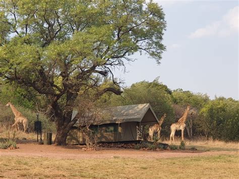 Bezhoek Private Nature Reserve And Tented Camp Get The Best