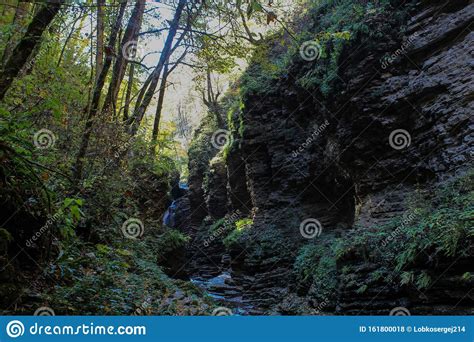 The Green Forest In Russia Stock Photo Image Of Forest 161800018