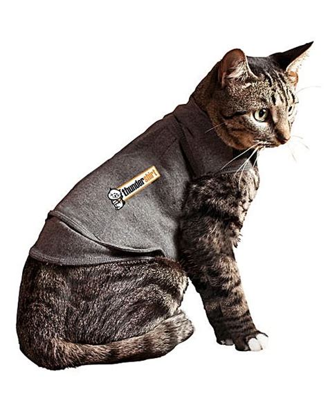 Get tips on pet training, behavior, health, and more. Thundershirt Anti Stress Coat for Cats in 2020 | Cats ...