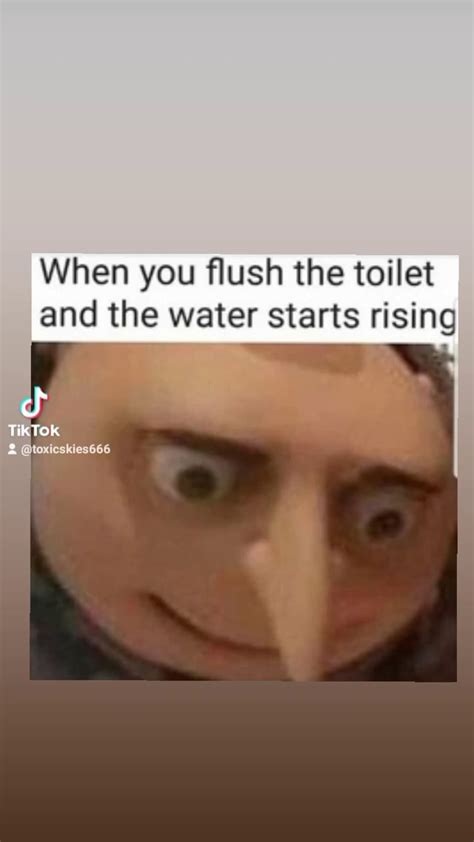 When You Flush The Toilet And The Water Starts Rising Ifunny