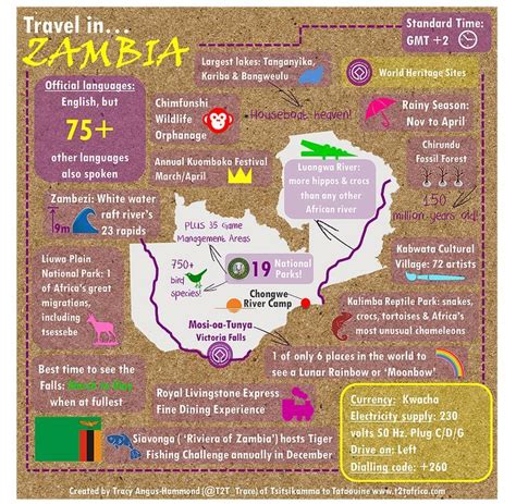 Travel Infographic Travel In Zambia Infographic From T2ts Travel In