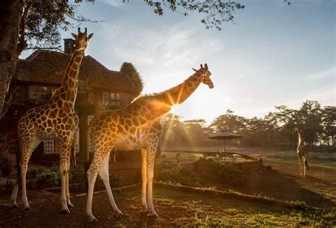 Nairobi National Park Destinations