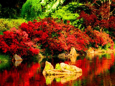 Beautiful Red Reflections In River HD desktop wallpaper ...