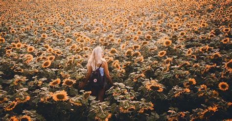 Add This Stunning Sunflower Farm Near Toronto To Your Summer Bucket List Listed