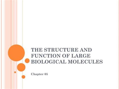Ppt The Structure And Function Of Large Biological Molecules