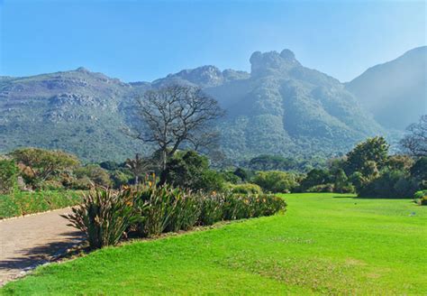 Western Cape Attractions South Africa
