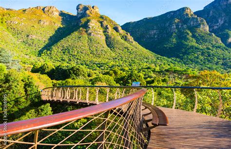 Kirstenbosch National Botanical Garden In Cape Town South Africa Stock