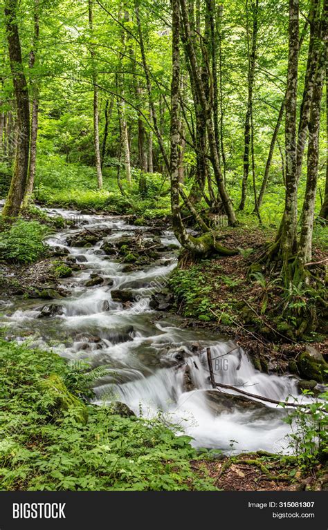 Fast Mountain Stream Image And Photo Free Trial Bigstock