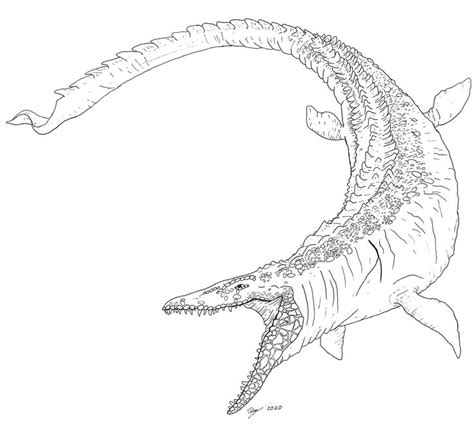 JW Mosasaurus Sean Kiley Dinosaur Coloring Pages Dinosaur Sketch