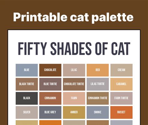Fifty Shades Of Cat 50 Named Fur Colors Of Cats Etsy