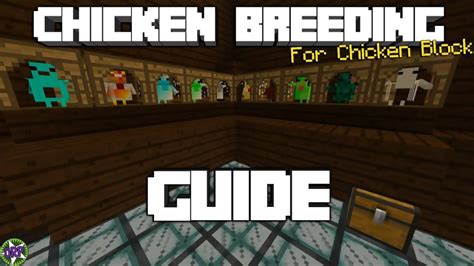 Minecraft Chicken Breeding Guide For Chickenblock Bedrock Edition Map