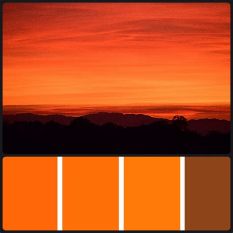 21 Shades Of Orange Color Palette Offeo