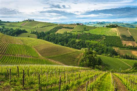 Vineyard Landscape Of Piedmont Langhe Roero And Monferrato Zainoo Blog