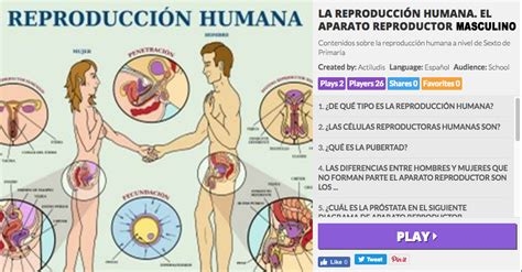 La Reproducción Humana Los Aparatos Reproductores Masculinos Y