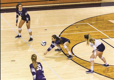 yale volleyball wins ivy league championship yale daily news