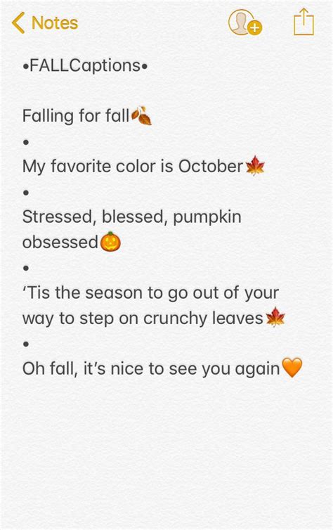 5 Cute Fall Captions🍁🎃🍂 Instagram Quotes Instagram Captions Clever