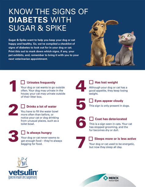 What To Do If Your Dog Has Diabetes