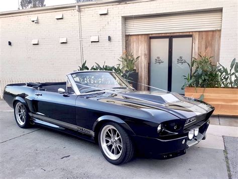 mustangs in black 1967 shelby gt500 eleanor convertible mustang at the budgie smuggler on