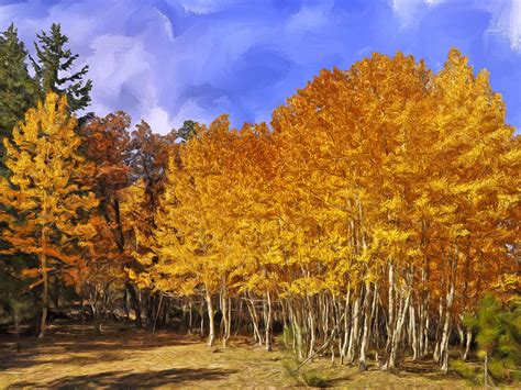 Aspen Trees In Autumn Painting By Dominic Piperata Fine Art America
