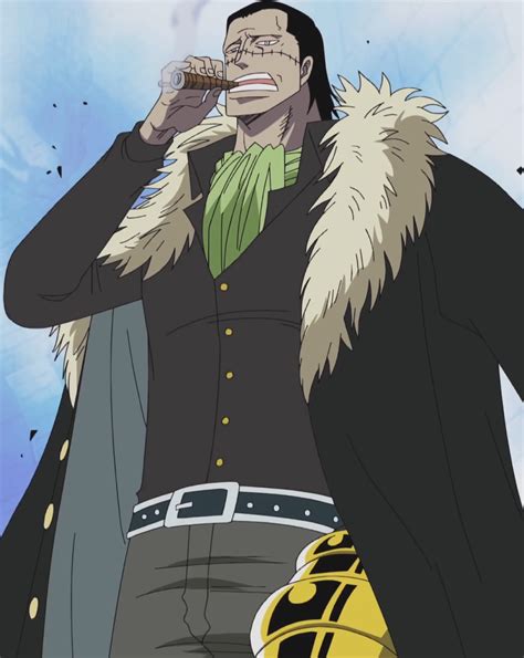 Sir crocodile is one of the longest running and most noteworthy primary adversaries of the series, as he was the first enemy to hand luffy a complete and utter defeat. Crocodile | One Piece Wiki | FANDOM powered by Wikia