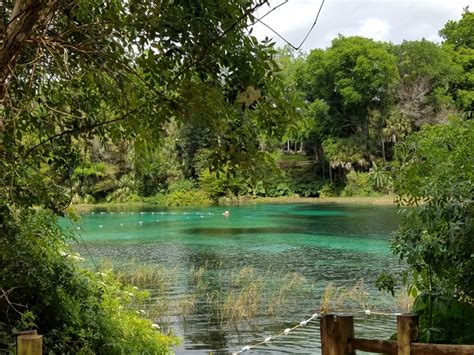 Rainbow Springs State Park In Dunnellon Florida Kid Friendly