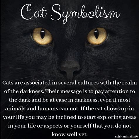 Cat Spirit Animal | Cat spirit, Cat spirit animal, Animal totem spirit guides
