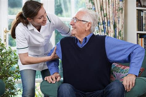 Choosing Home And Companions For Elderly Care