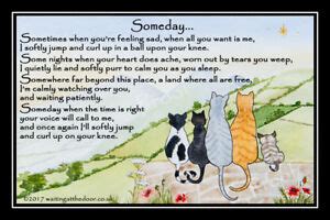 Make a coloring book with rainbow bridge for one click. Cat Memorial Pet Rainbow Bridge Sympathy Gift unframed ...