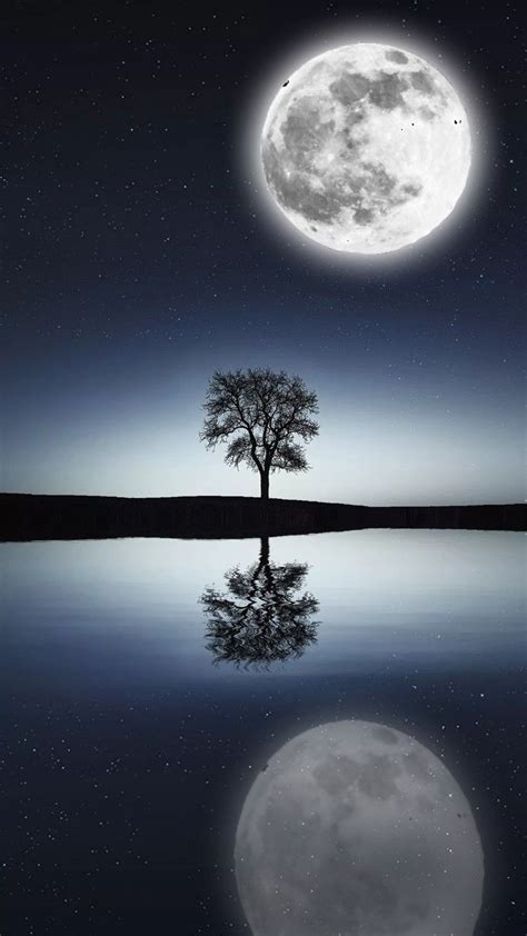 Tree With Moon Wallpaper Background Wallpaper Backgrounds Amazing