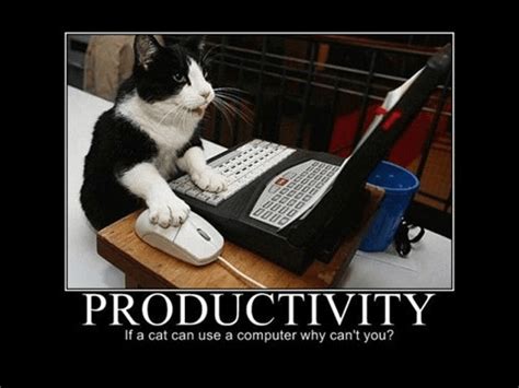 Productivity Memes 60 Funniest Memes To Make Your Monday Suck Less 2022